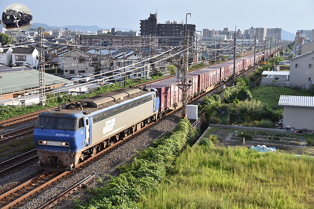 f:id:hato_express:20200607004657j:plain