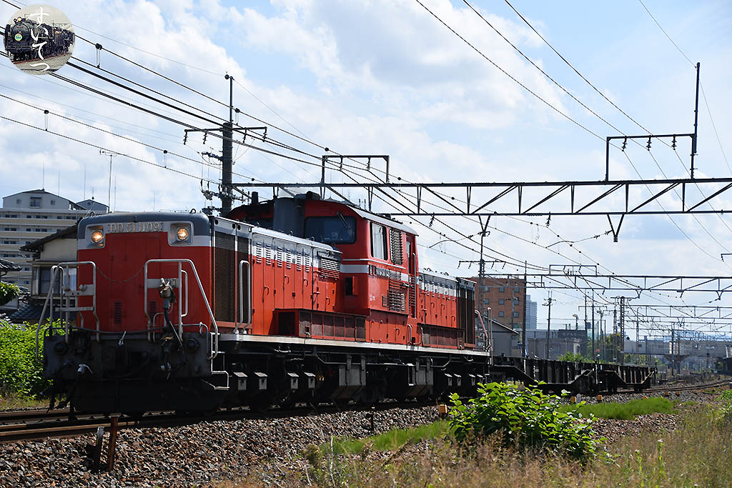 f:id:hato_express:20200611225210j:plain