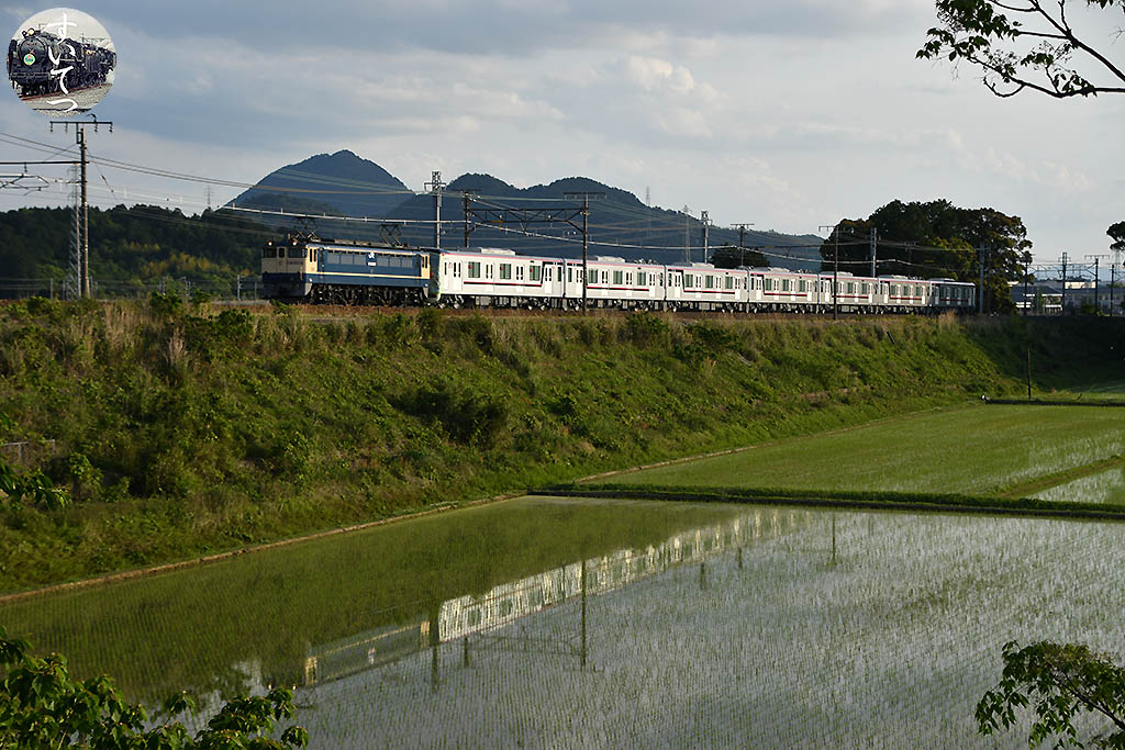 f:id:hato_express:20200611225218j:plain