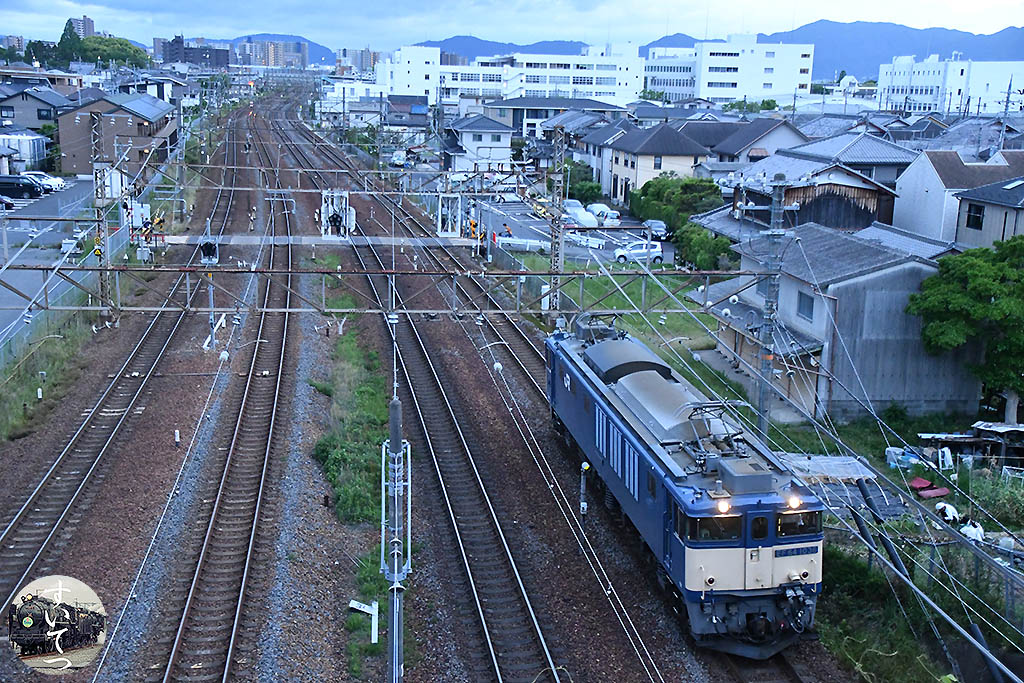 f:id:hato_express:20200611225228j:plain