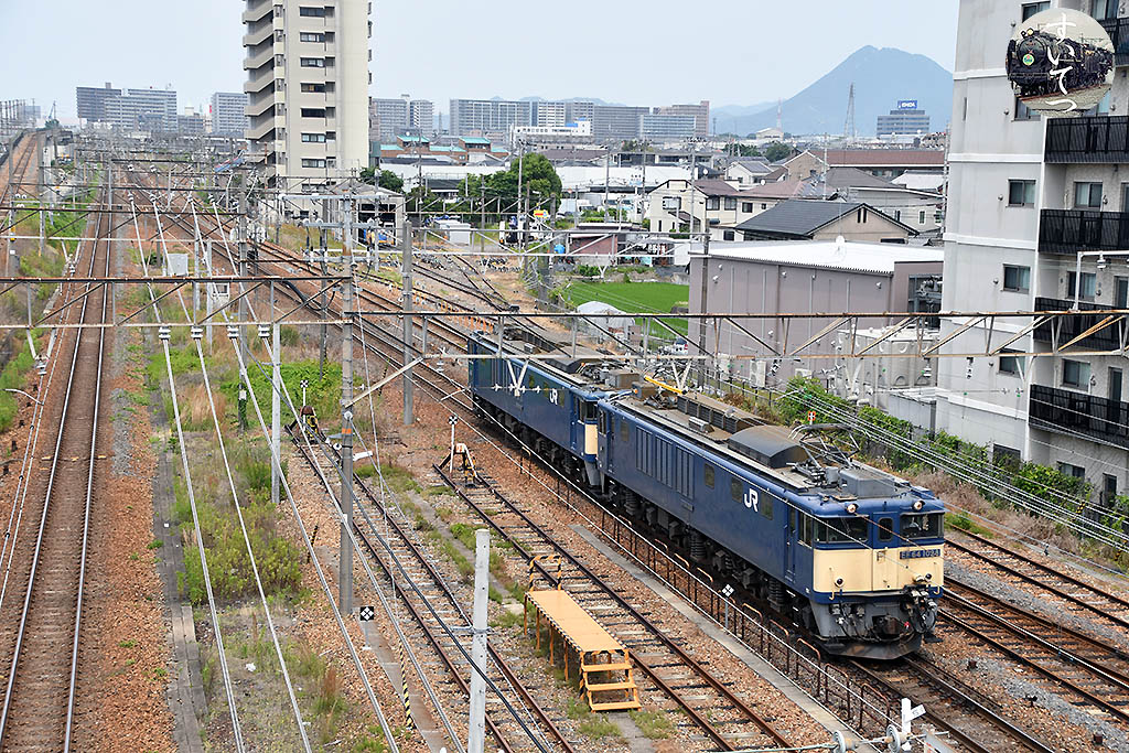 f:id:hato_express:20200614155513j:plain f:id:hato_express:20200614155513j:plain
