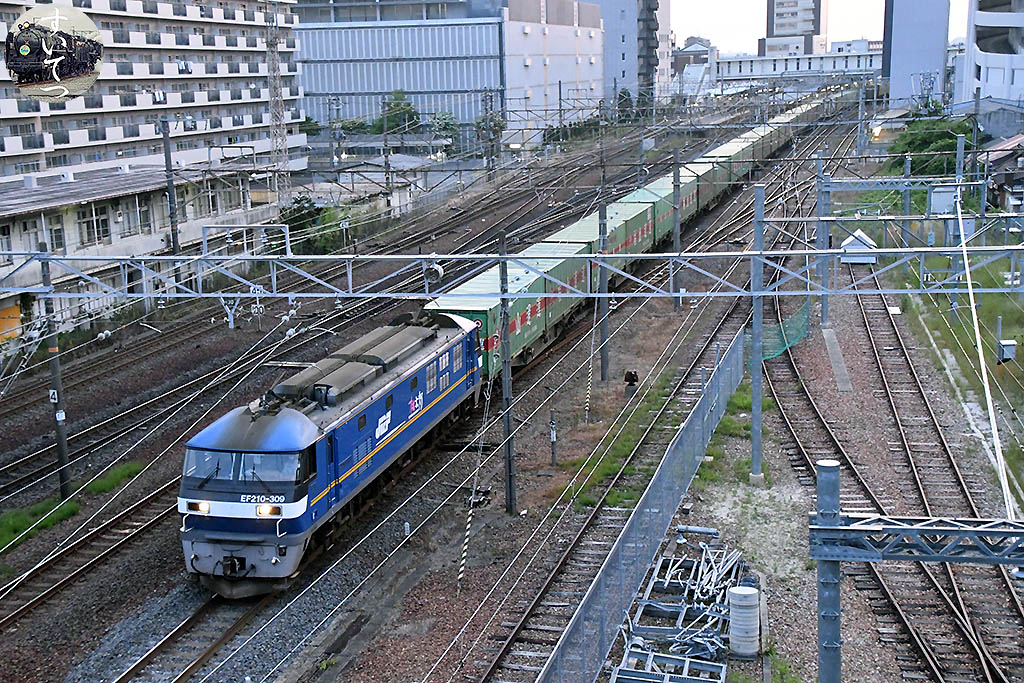 f:id:hato_express:20200614162248j:plain