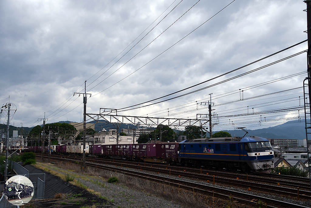 f:id:hato_express:20200614164149j:plain