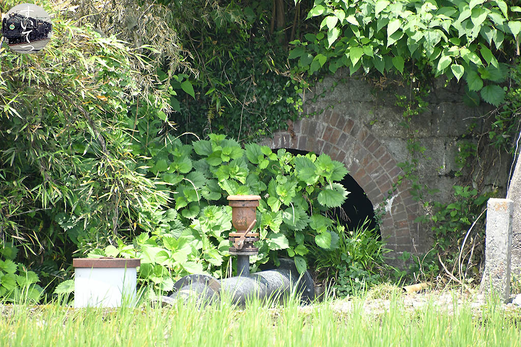 f:id:hato_express:20200622224050j:plain