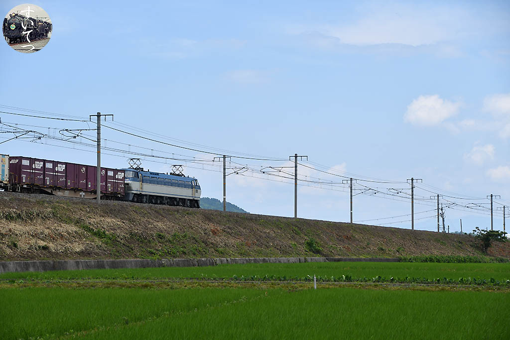 f:id:hato_express:20200622224054j:plain