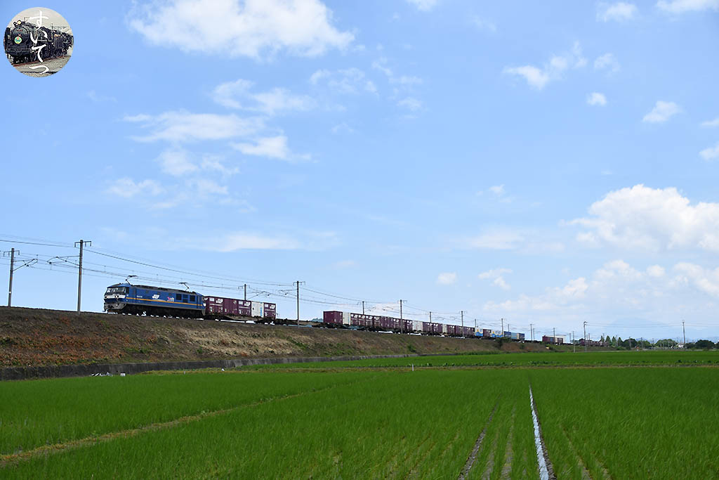 f:id:hato_express:20200622224057j:plain