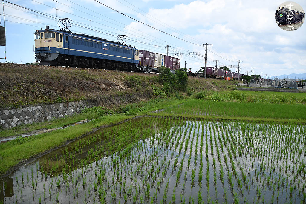 f:id:hato_express:20200622224105j:plain