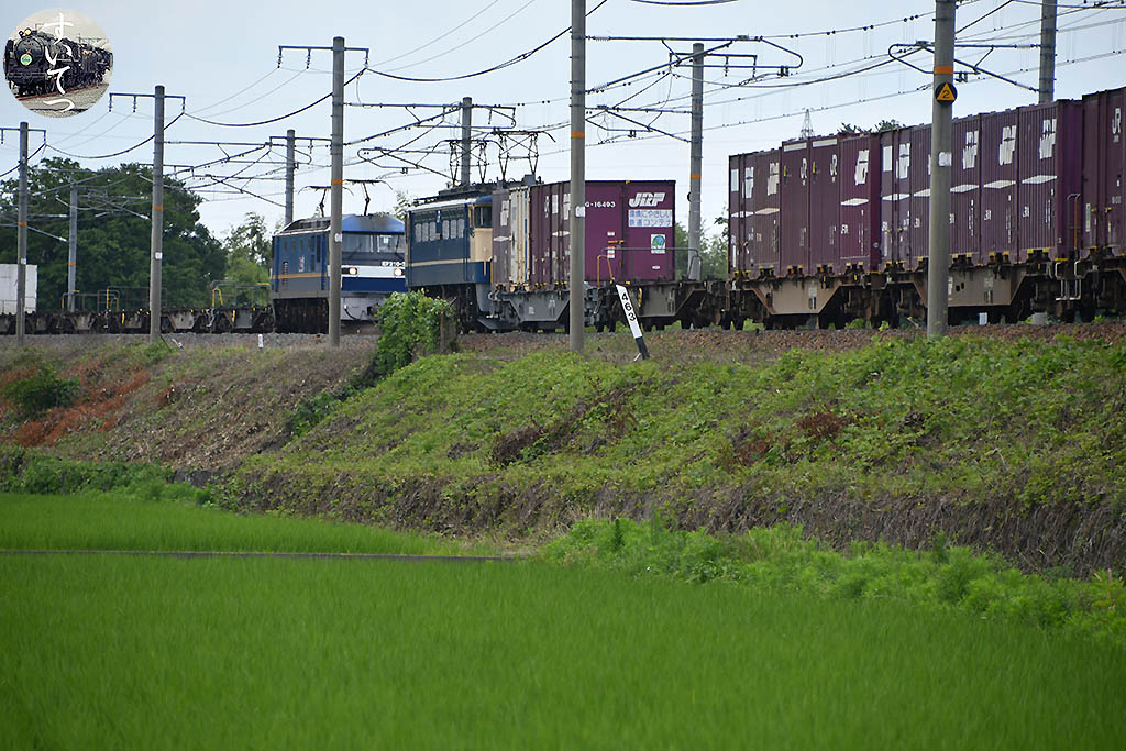 f:id:hato_express:20200622224110j:plain
