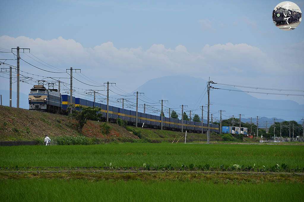 f:id:hato_express:20200622224114j:plain