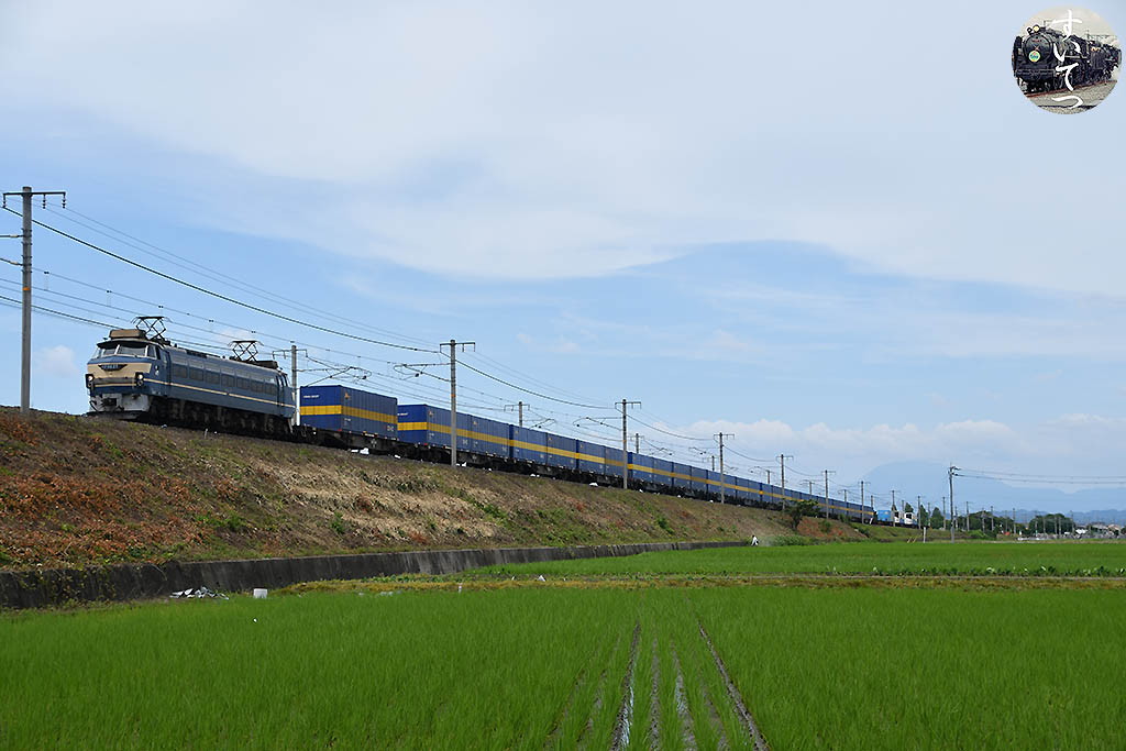 f:id:hato_express:20200622224121j:plain