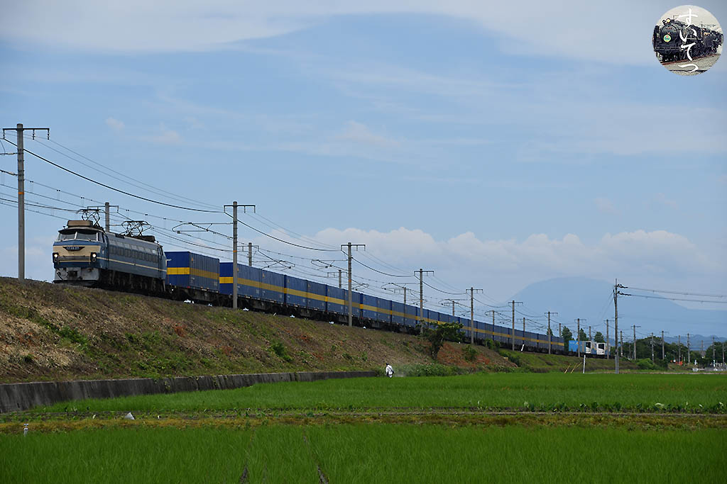 f:id:hato_express:20200627135005j:plain