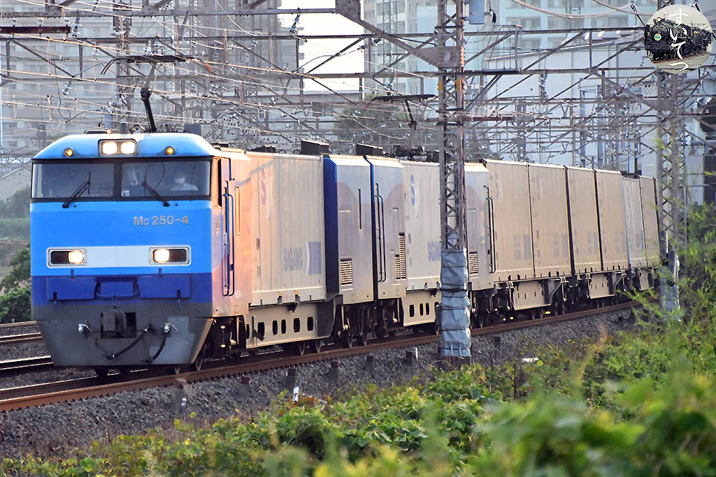 f:id:hato_express:20200628125352j:plain