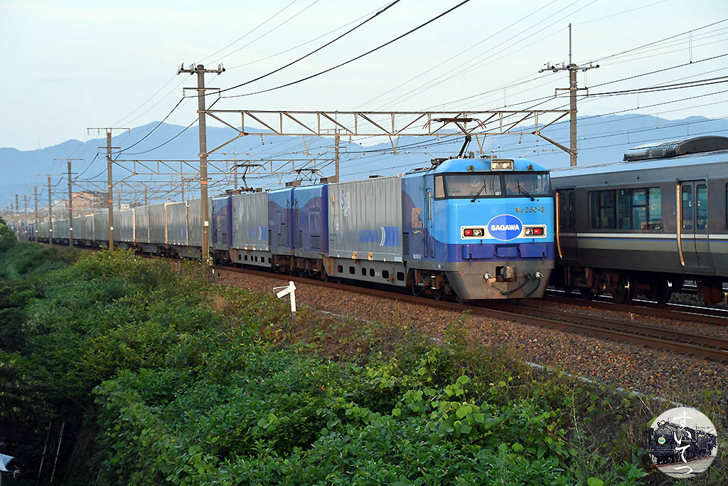 f:id:hato_express:20200628125355j:plain