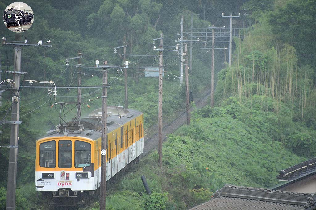 f:id:hato_express:20200705154153j:plain