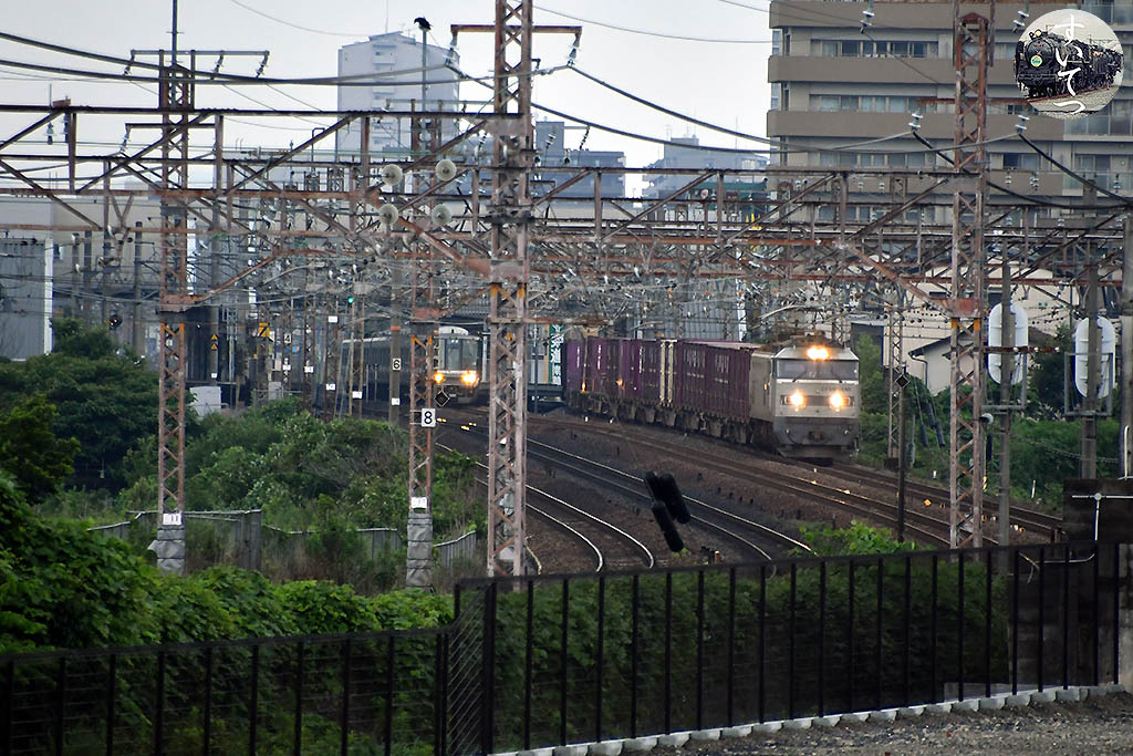 f:id:hato_express:20200712231600j:plain f:id:hato_express:20200712231600j:plain
