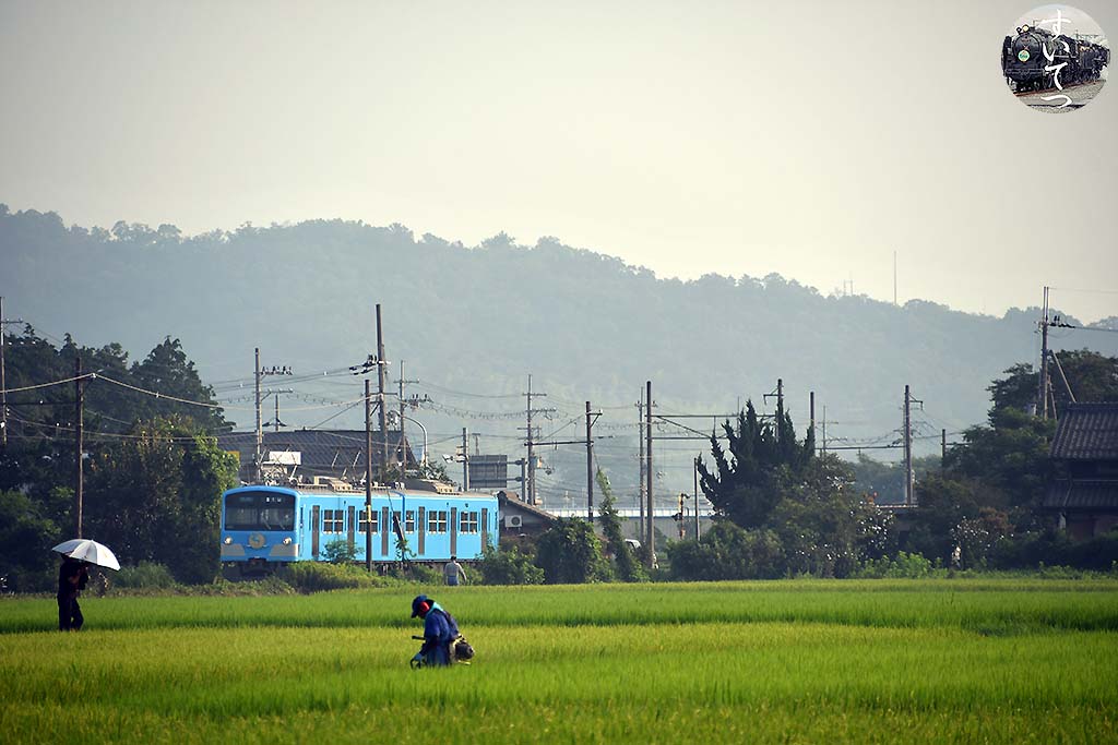 f:id:hato_express:20200811222801j:plain