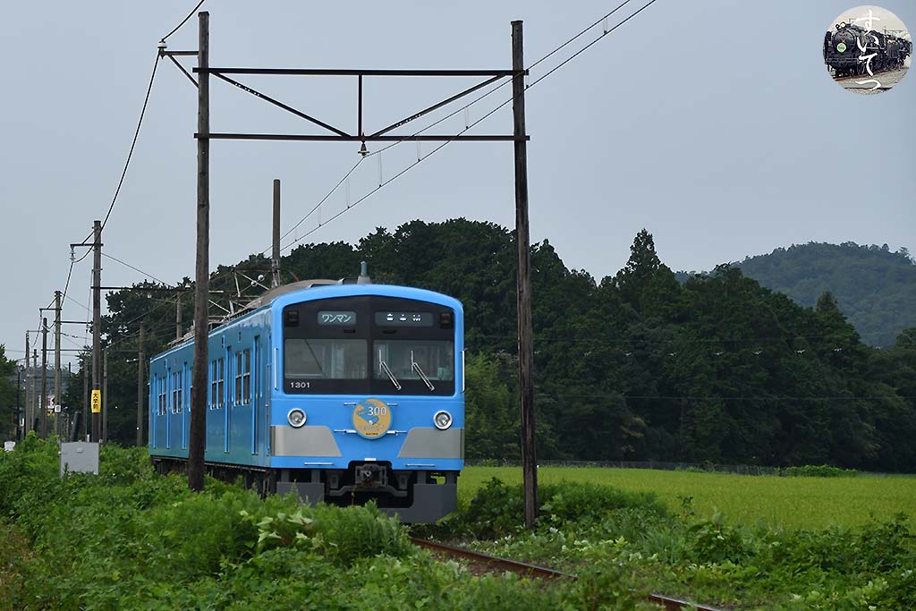 f:id:hato_express:20200811222819j:plain