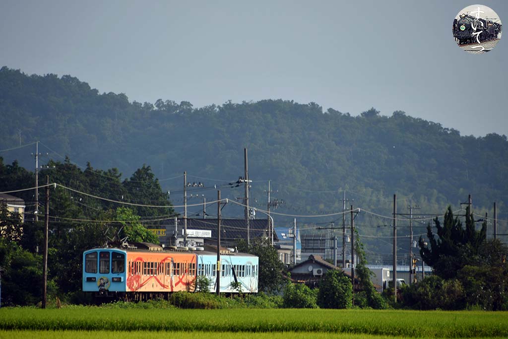 f:id:hato_express:20200824020729j:plain f:id:hato_express:20200824020729j:plain