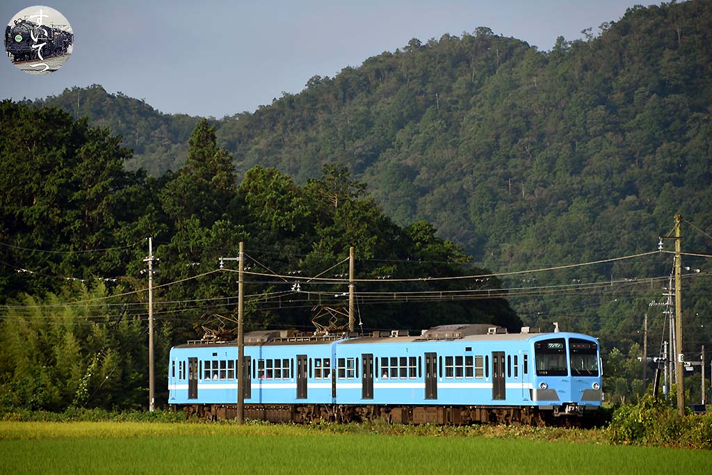 f:id:hato_express:20200824020741j:plain f:id:hato_express:20200824020741j:plain