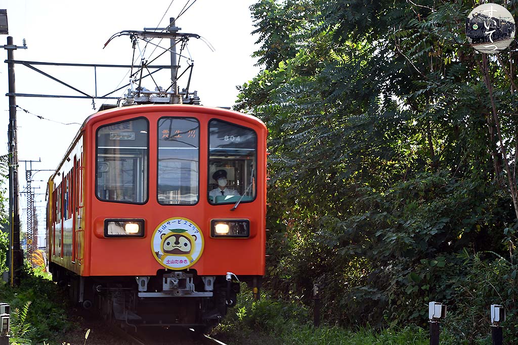 f:id:hato_express:20200830015608j:plain