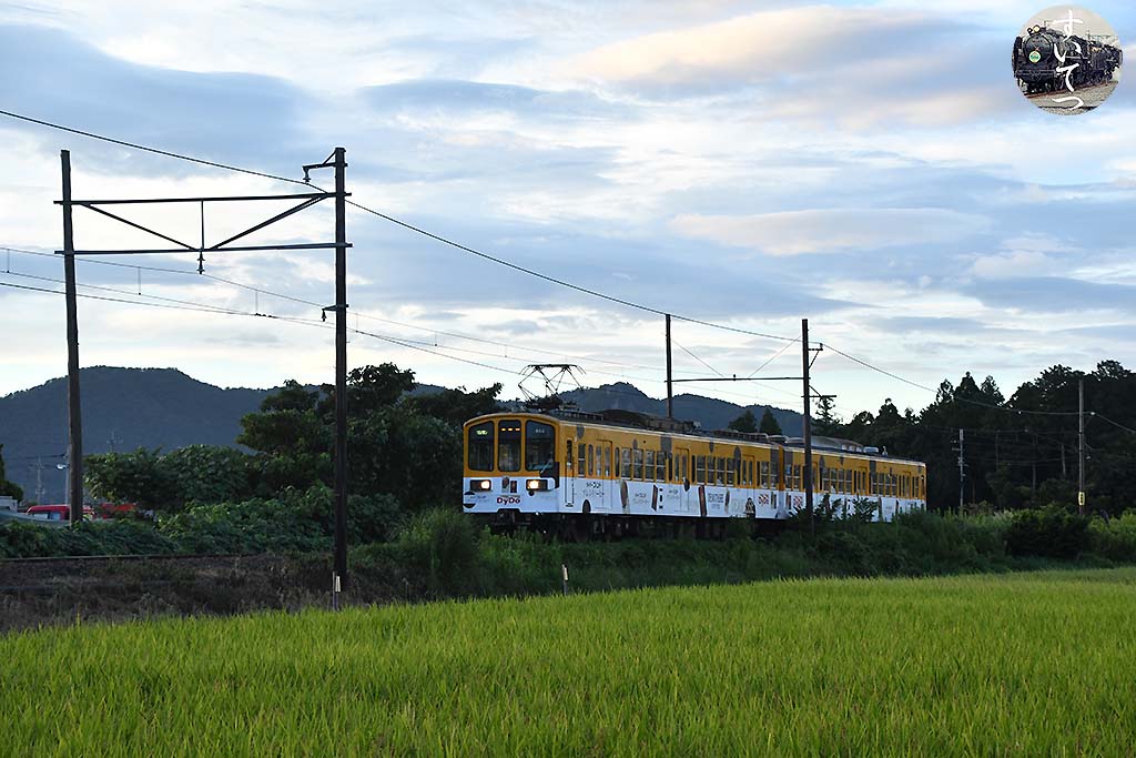 f:id:hato_express:20200903004032j:plain f:id:hato_express:20200903004032j:plain