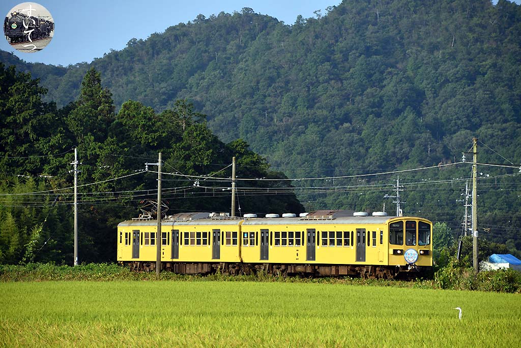 f:id:hato_express:20200903004109j:plain