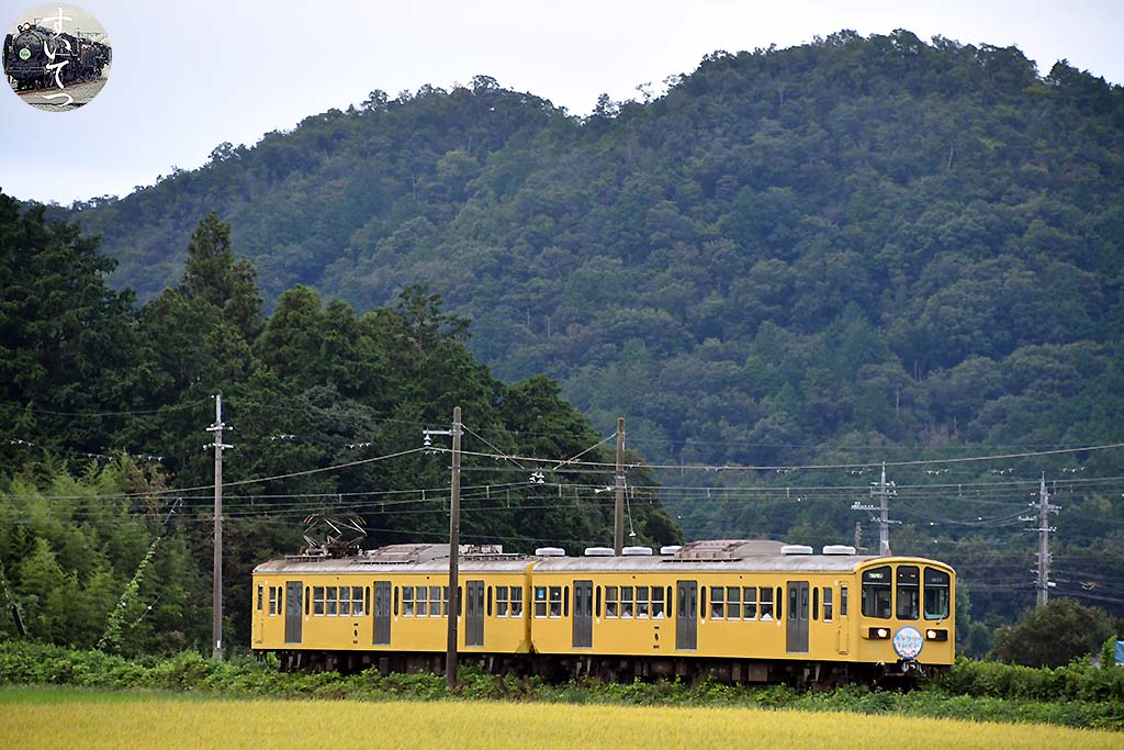 f:id:hato_express:20200927140507j:plain f:id:hato_express:20200927140507j:plain