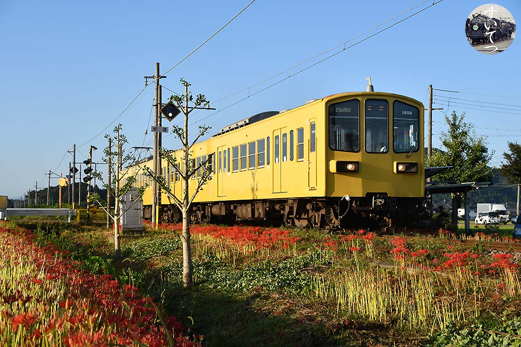 f:id:hato_express:20201011005741j:plain