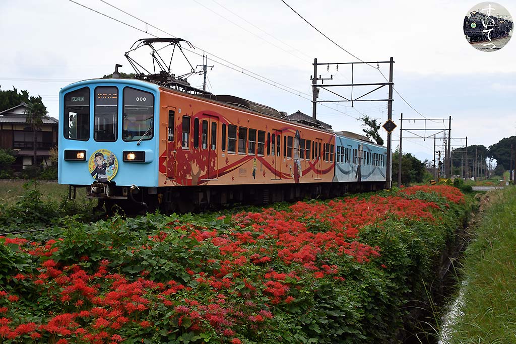 f:id:hato_express:20201011005753j:plain