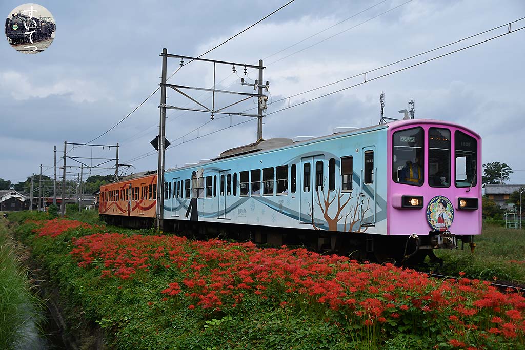 f:id:hato_express:20201011005757j:plain
