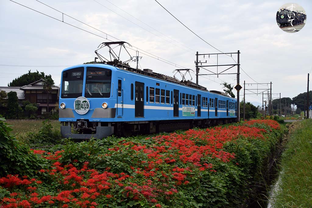 f:id:hato_express:20201011005801j:plain