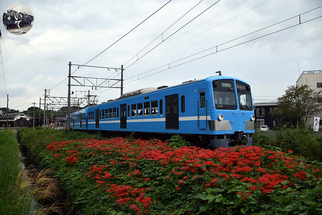 f:id:hato_express:20201013113442j:plain