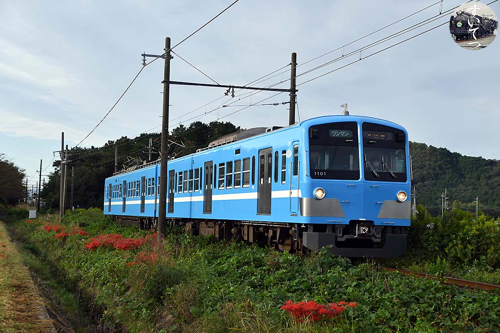 f:id:hato_express:20201015214603j:plain