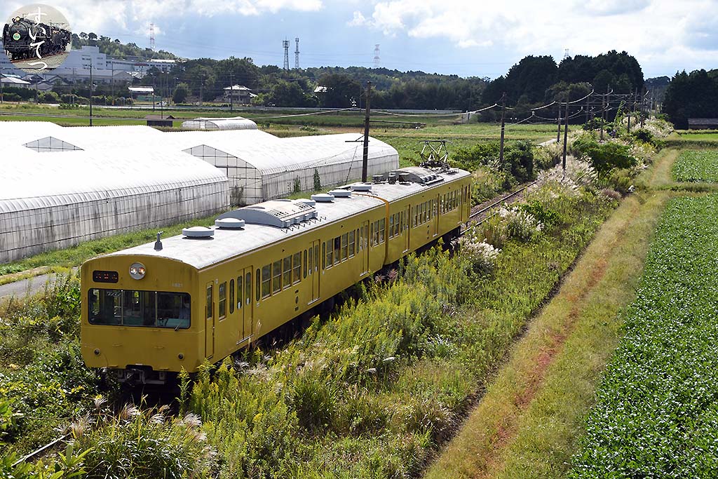 f:id:hato_express:20201016004816j:plain