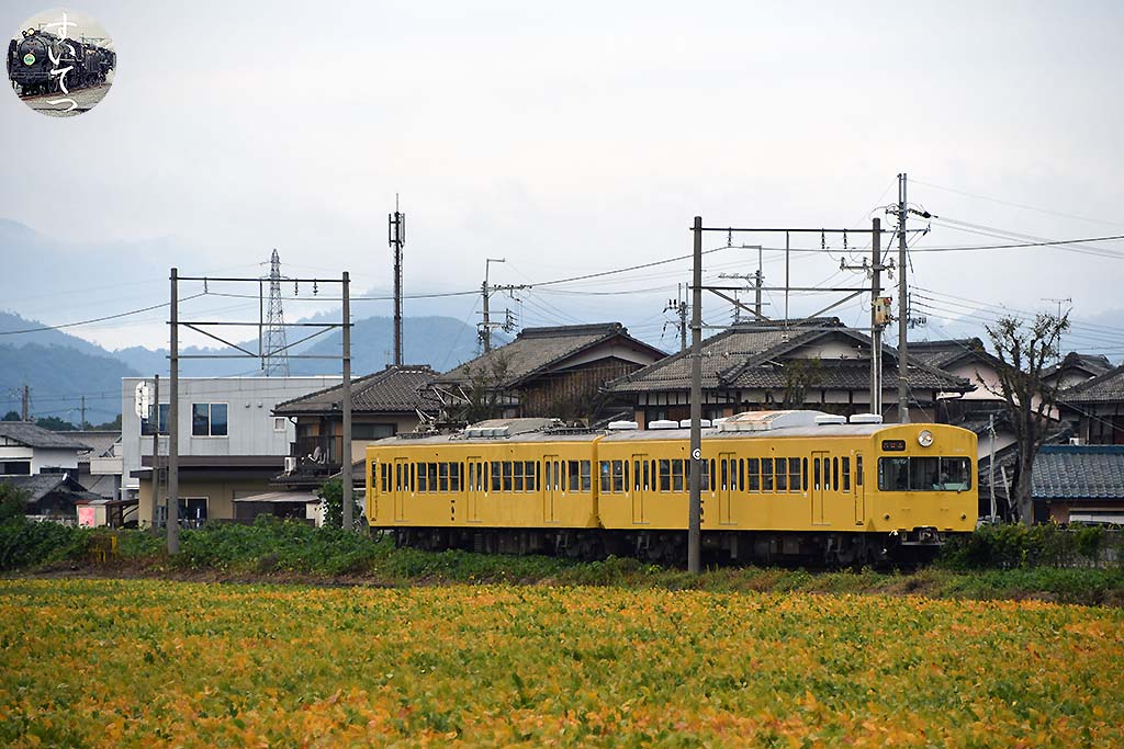 f:id:hato_express:20201018185614j:plain