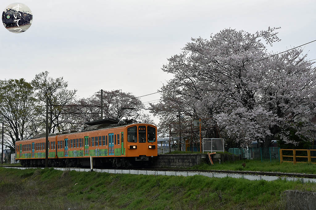 f:id:hato_express:20210127002801j:plain