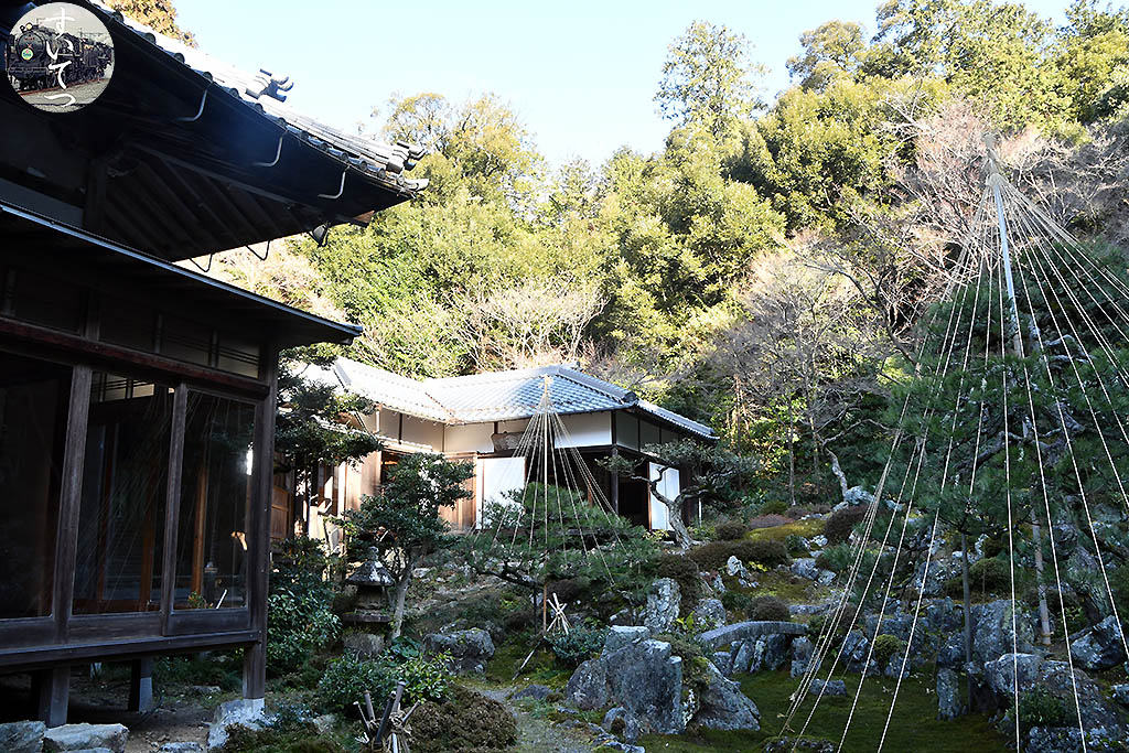 f:id:hato_express:20210210010921j:plain