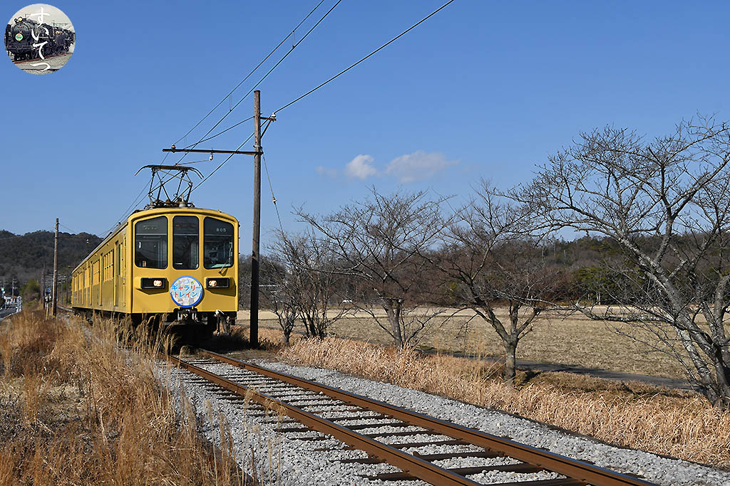f:id:hato_express:20210213153001j:plain