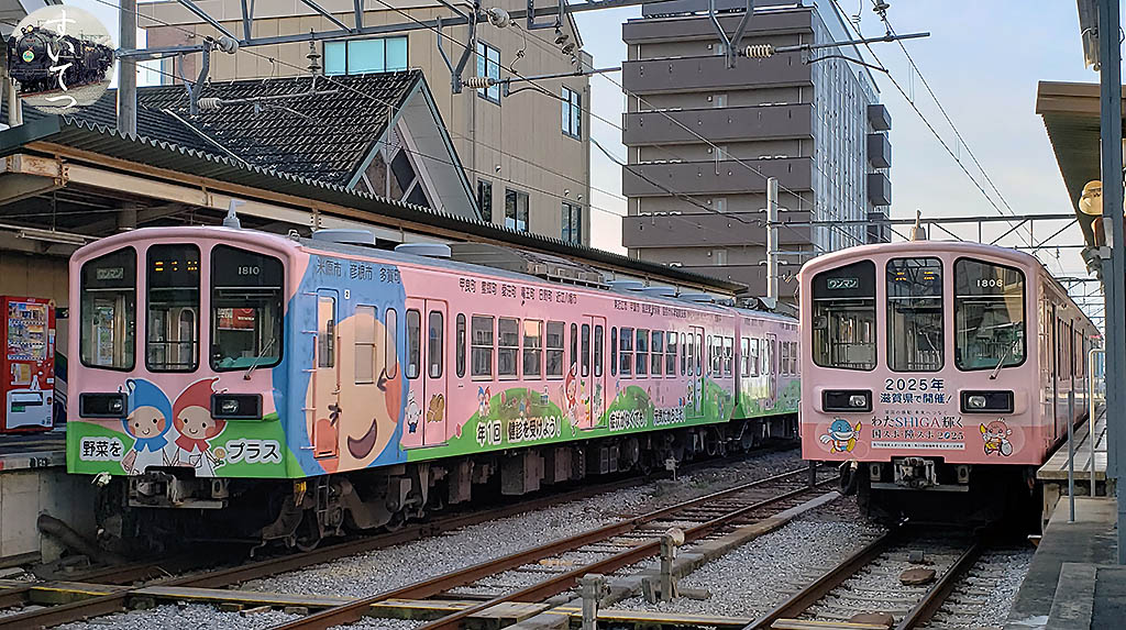 f:id:hato_express:20210228180028j:plain