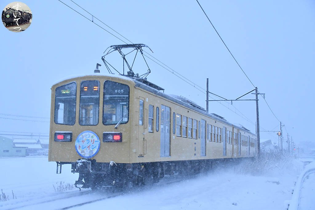 f:id:hato_express:20210312225912j:plain