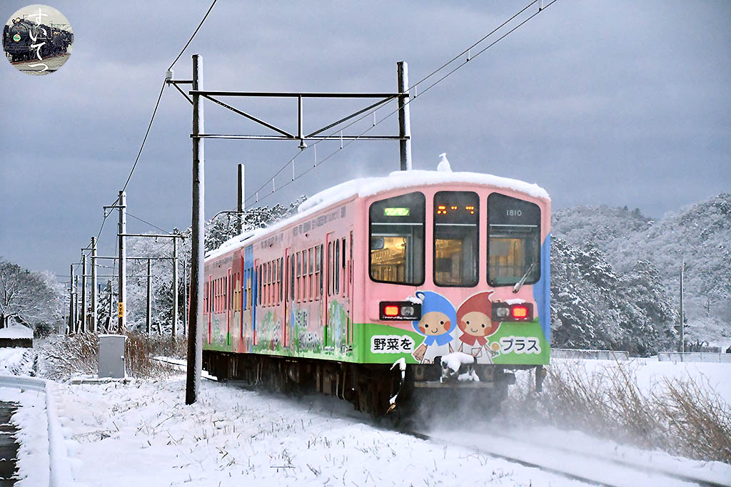 f:id:hato_express:20210312225934j:plain