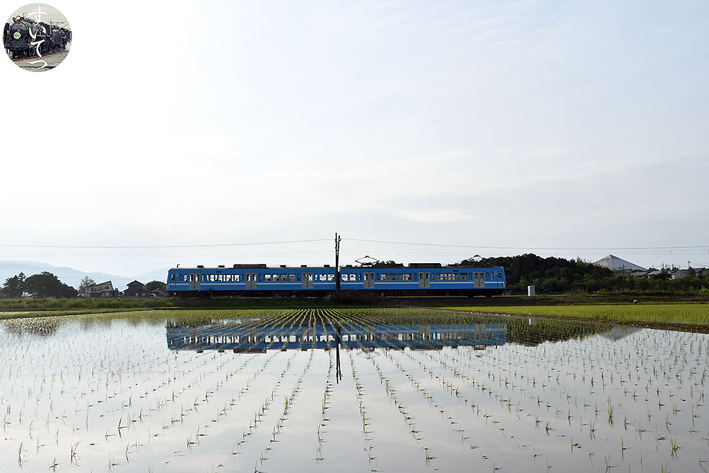 f:id:hato_express:20210511194253j:plain