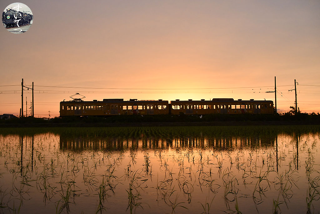 f:id:hato_express:20210528205004j:plain