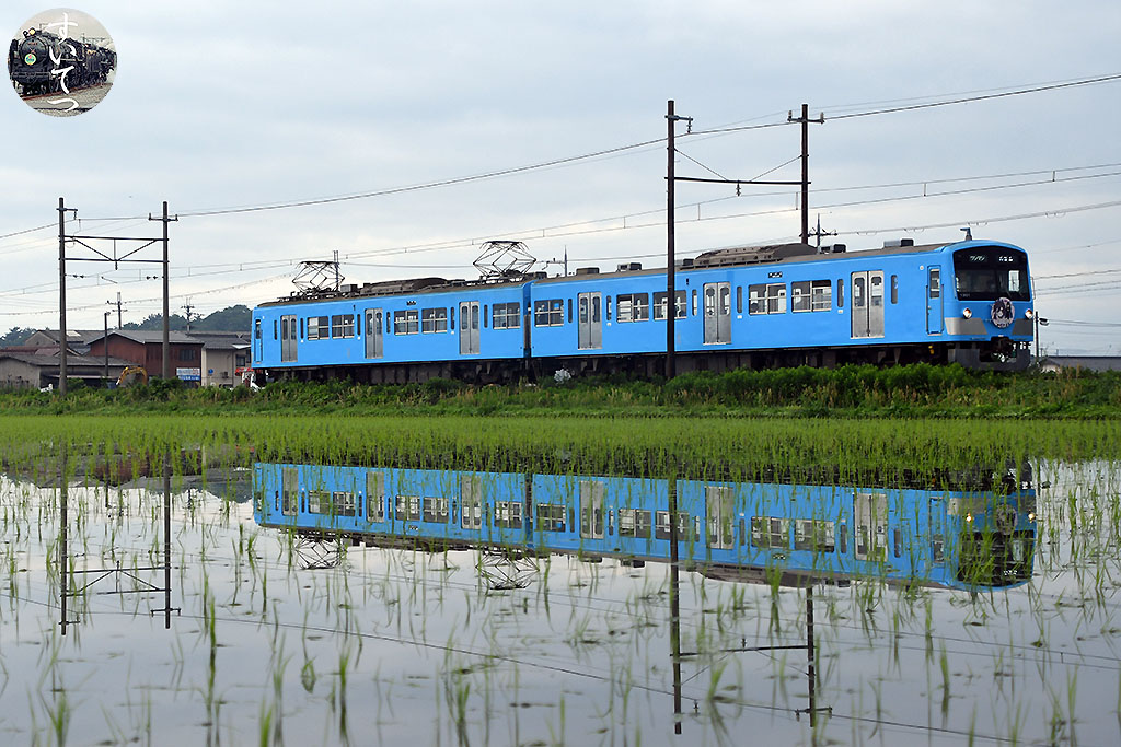 f:id:hato_express:20210529001932j:plain