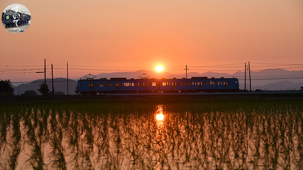 f:id:hato_express:20210609202646j:plain