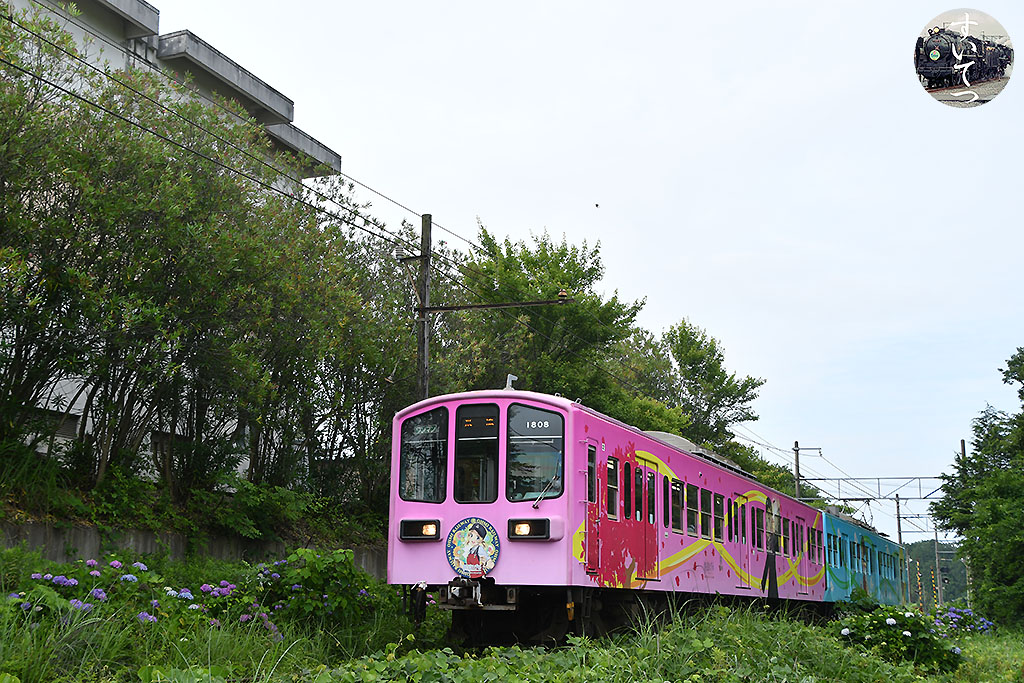 f:id:hato_express:20210618211120j:plain