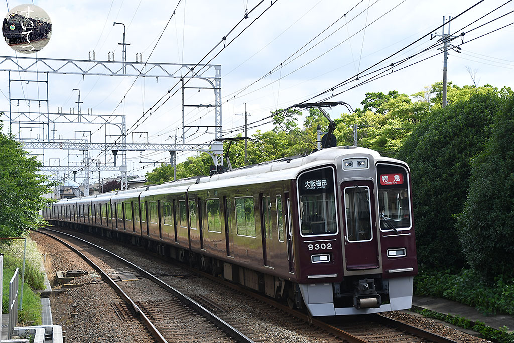 f:id:hato_express:20210625213329j:plain