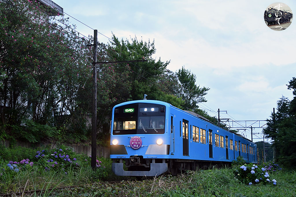 f:id:hato_express:20210706030745j:plain
