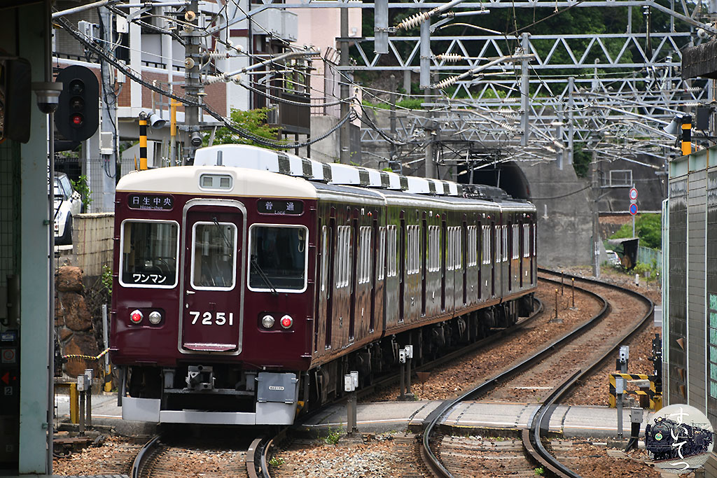 f:id:hato_express:20210712003910j:plain