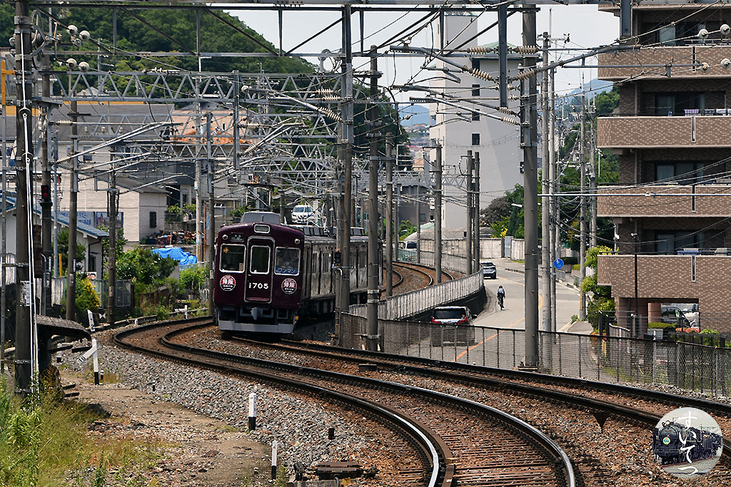 f:id:hato_express:20210712003925j:plain